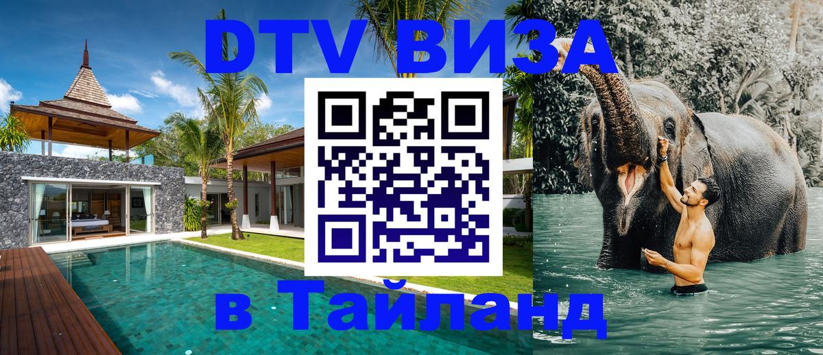 Оформление DTV визы под ключ: стоимость и тарифы, только загранпаспорт - 04.10.2025 